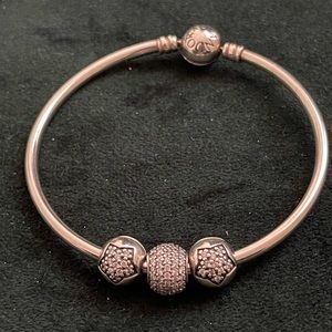 Pandora Moments Bangle